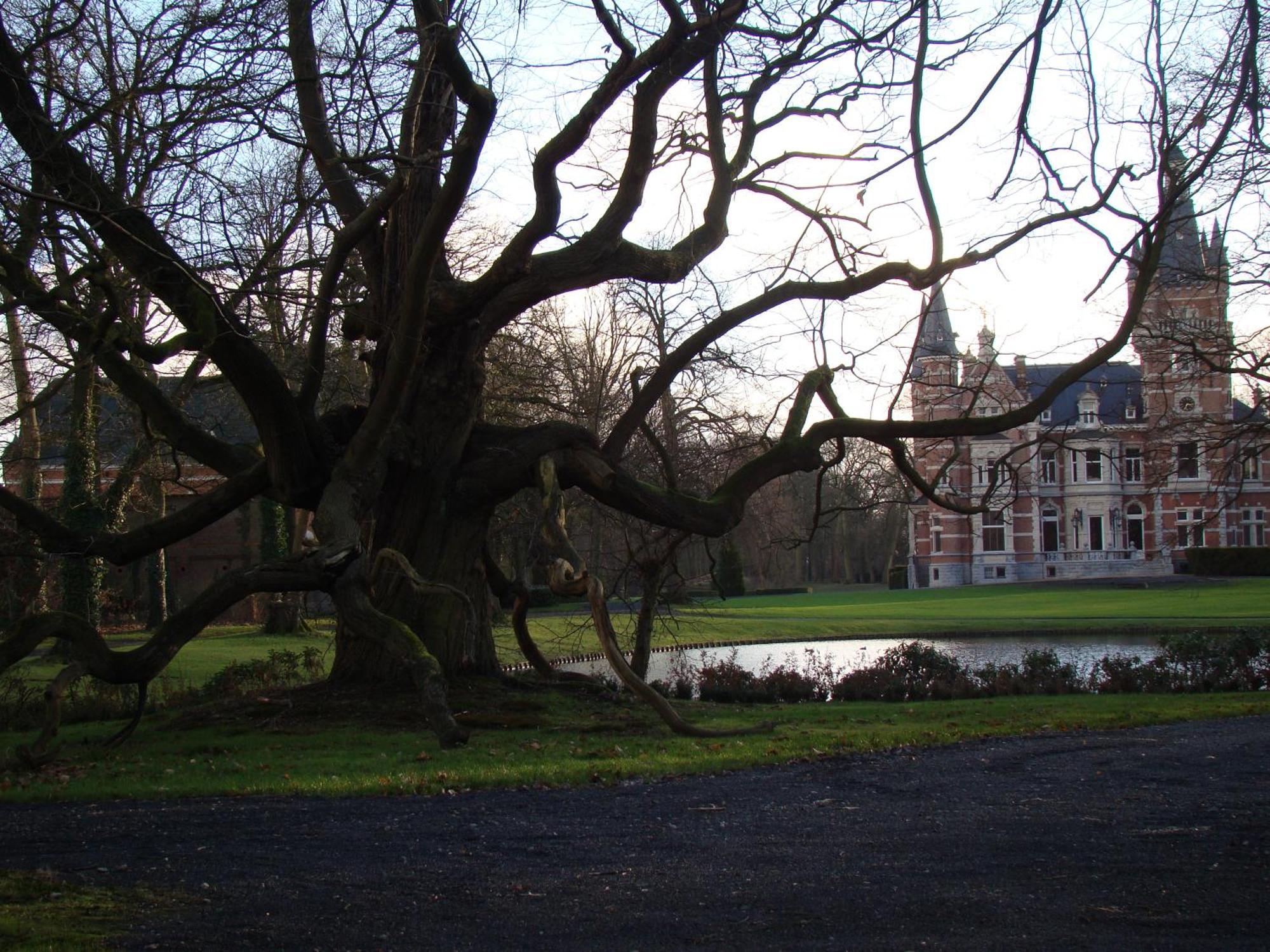 B&B Sogni D'Oro Lovendegem Exterior foto