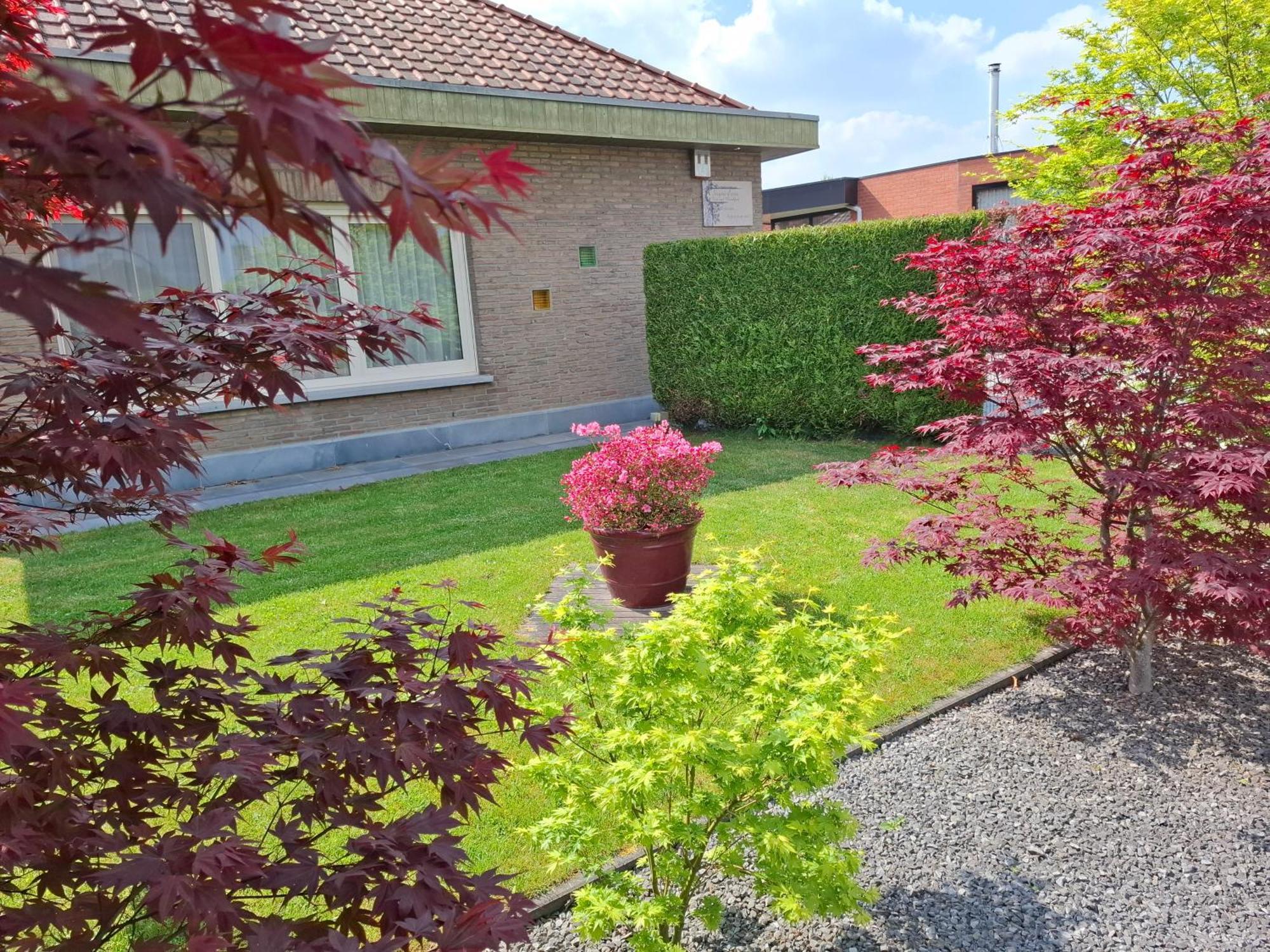 B&B Sogni D'Oro Lovendegem Exterior foto